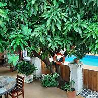 Casa de Los Santos Reyes Hotel Boutique Valledupar