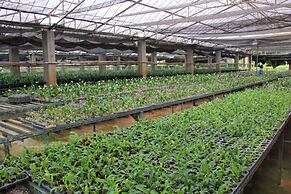 Phu Pha Nam Resort & Spa