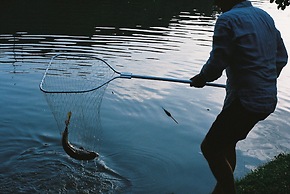 Lopota Lake Resort & Spa