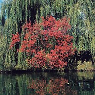 Lopota Lake Resort & Spa