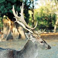 Lopota Lake Resort & Spa