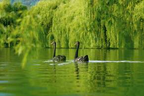 Lopota Lake Resort & Spa