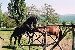 Lopota Lake Resort & Spa