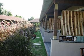Asiatic Lion Lodge