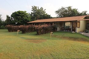 Asiatic Lion Lodge