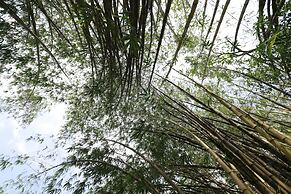 Nooit Gedacht Heritage Hotel-Original Dutch Governor's House