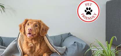 Lloyd's On The River Country Inn By Oyo