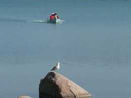 Bruce Bay Cottages & Lighthouse