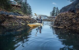 Orca Island Cabins