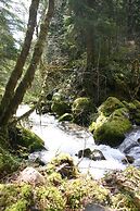 Copper Creek Inn at Mt Rainier