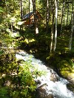 Copper Creek Inn at Mt Rainier