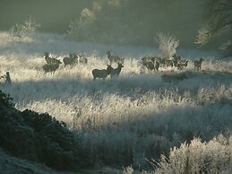 Copper Creek Inn at Mt Rainier