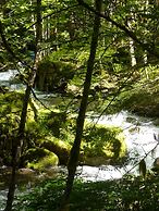 Copper Creek Inn at Mt Rainier