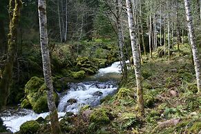 Copper Creek Inn at Mt Rainier