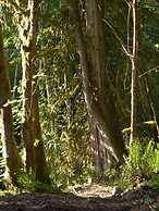 Copper Creek Inn at Mt Rainier