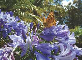 Tennessee Hill Chalets