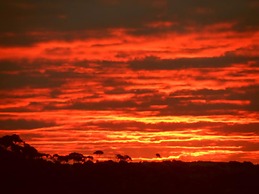 Tennessee Hill Chalets