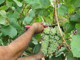 Quinta de Lourosa