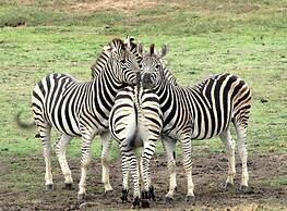 Kronenhoff Guest House