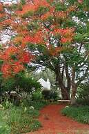 Kronenhoff Guest House