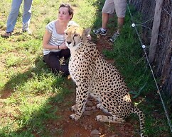 Kronenhoff Guest House