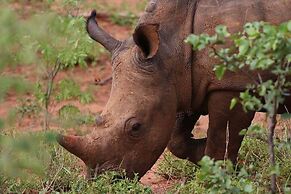 Sindabezi Island Camp