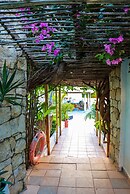 Ocean Point Beach Resort & Spa - Adults Only