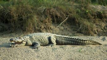 GREEN MANSIONS JUNGLE RESORT