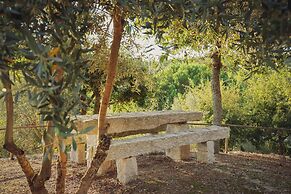 I Love Dão - Casas Da Fraga