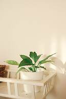 I Love Dão - Casas Da Fraga