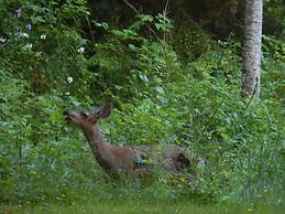 Mountain Meadows Inn