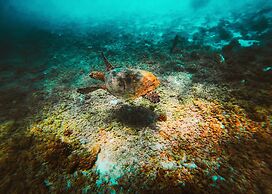 Casa de Campo Pedasi