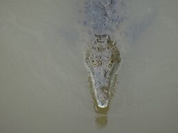 Casa de Campo Pedasi