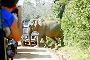 The Yala Camping