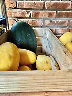 Villa Orchid Garden Riverside Hoi An