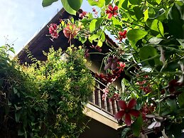 Villa Orchid Garden Riverside Hoi An