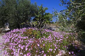 Skamagkas G. Apartments