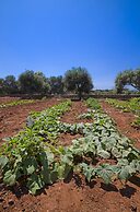 Skamagkas M. Apartments