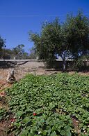 Skamagkas M. Apartments