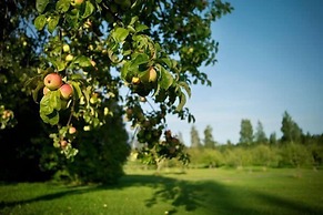 Ahlströmin Ruukki Noormarkku