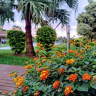 Club Valle Termal Resort