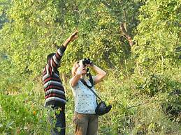 Nepal Wildlife Resort