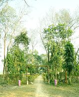 Nepal Wildlife Resort