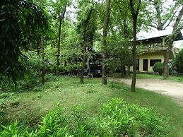 Nepal Wildlife Resort