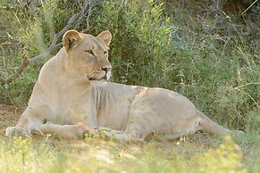 Monomotapa Village at Legend Golf & Safari Resort