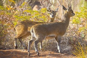Monomotapa Village at Legend Golf & Safari Resort