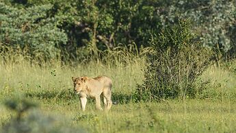 Monomotapa Village at Legend Golf & Safari Resort