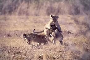 Monomotapa Village at Legend Golf & Safari Resort