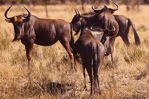 Monomotapa Village at Legend Golf & Safari Resort