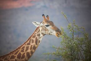 Monomotapa Village at Legend Golf & Safari Resort